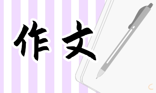 我与母校高三作文