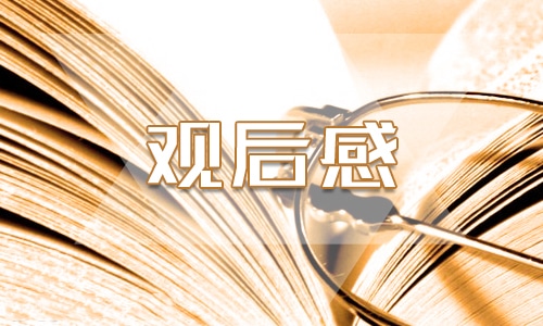 观后感心得体会200字